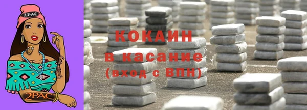 шишки Няндома