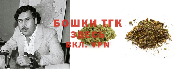 шишки Няндома