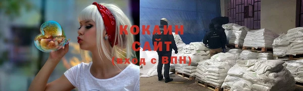 шишки Няндома