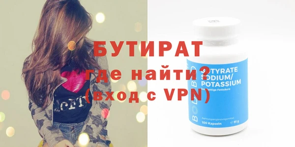 шишки Няндома