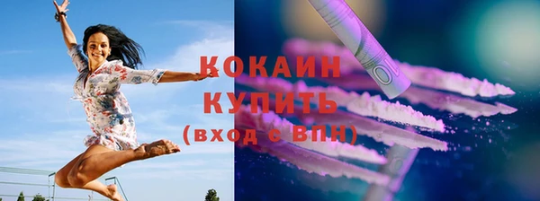 прущие грибы Болотное