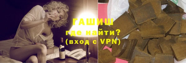 шишки Няндома