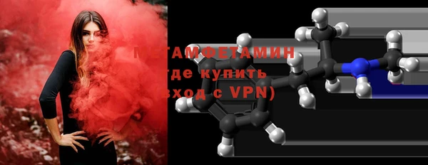 шишки Няндома