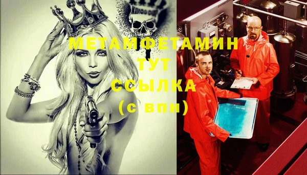 шишки Няндома