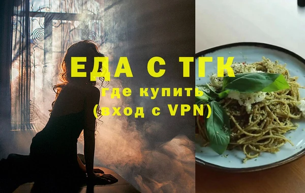 шишки Няндома