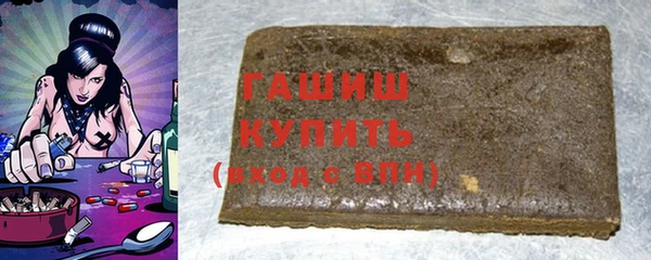 шишки Няндома
