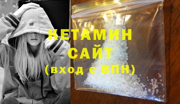 шишки Няндома