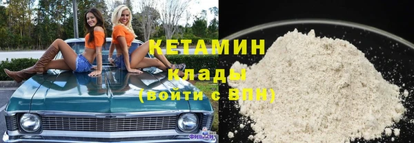 шишки Няндома
