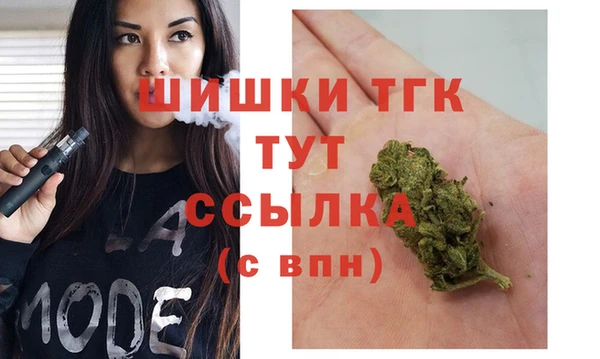 шишки Няндома