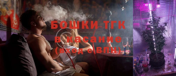 шишки Няндома