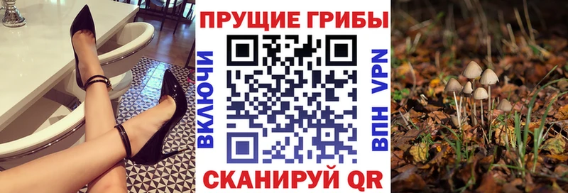 Галлюциногенные грибы мухоморы  закладки  Питкяранта 