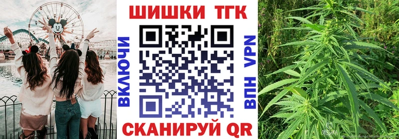 закладки  Питкяранта  мега ссылка  Каннабис индика 